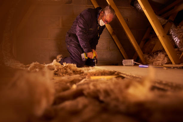 Best Insulation Installation Services in Shady Point, OK